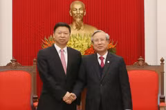 Vietnam, China should develop stable ties together: Party official
