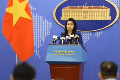 Vietnam actively proposes common efforts against epidemics 