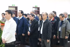 Da Nang’s former officials file appeals in land-related case