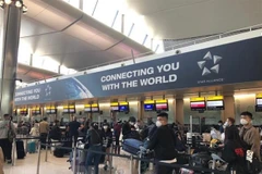 Over 300 Vietnamese citizens brought home from UK