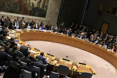 Deputy PM meets officials from countries at UNSC open debate 
