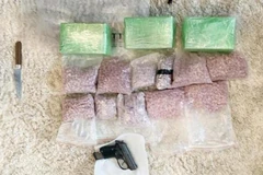 Drug ring busted in Hanoi