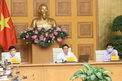 COVID-19 outbreak in Da Nang, Quang Nam under control: acting health minister