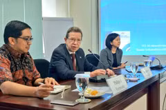 Russian Ambassador hails Vietnam’s efforts as ASEAN Chair