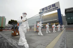 Vietnamese citizen infected with SARS-CoV-2 virus in RoK 