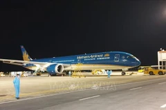 More than 340 Vietnamese brought home from Macau (China)