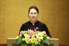 National Assembly strives to implement institutional reform