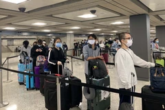 Over 340 Vietnamese return home safely from US