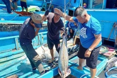 Kien Giang enjoys over 10 percent rise in aquatic production