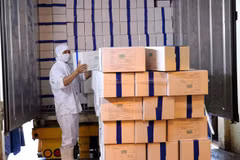 Vietnam boosts agricultural product exports to EU 
