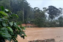Four killed, two missing as flash floods hit Central Highlands, South Central regions