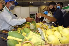 Second stimulus package to focus on most affected sectors