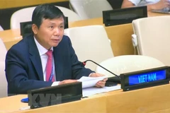 Vietnam calls for stronger protection of women in Afghanistan