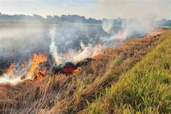 Vietnam to sign emissions reduction purchase agreement