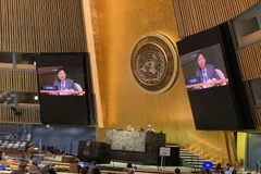 Sputnik: 2020 is really a special year for Vietnam