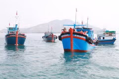 Ninh Thuan popularises Fisheries Law among fishermen to fight IUU fishing 