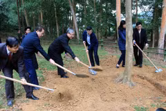 Tree-planting festival launched in Tuyen Quang province 