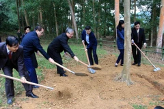 Tree-planting festival launched in Tuyen Quang province 