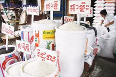 Cambodia: rice supply, prices remain stable despite COVID-19 outbreak