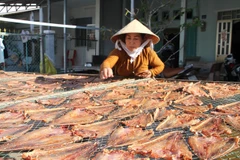 Soc Trang province’s measures to get rid of poverty
