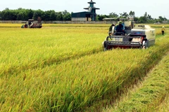 Can Tho int’l workshop seeks to raise farmers’ income 