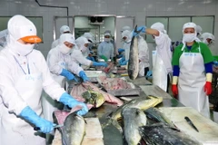 Seafood exports to drop 5 percent in Q2