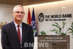 Vietnam good at taking advantage of crisis: WB expert 