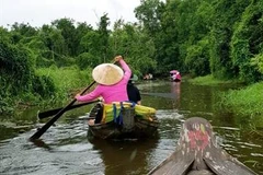 Dong Thap province to focus on boosting tourism