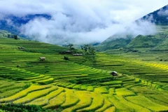 Vibrant atmosphere return to northern tourism sites
