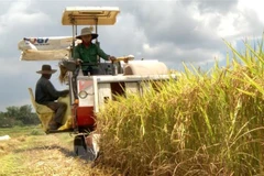 World Food Day 2020 observed in Hanoi 