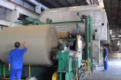 Paper companies see bright prospects as demand increases
