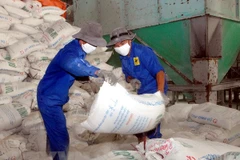 EVFTA to grow Vietnam’s fertilizer industry