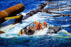 PetroVietnam stands firm amid “dual crisis”