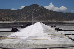 Ninh Thuan to become country’s top salt producer