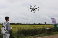 Dong Thap inaugurates first advanced rice farming project