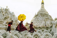 Vietnamese photographers win big at India’s photo contest
