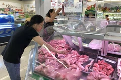 HCM City, provinces work together to ensure supply of goods at stable prices