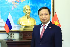 Ambassador to Russia calls for public joint efforts in COVID-19 fight