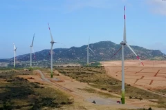 Investors still concerned about wind power development