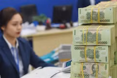 Stronger money policies might be considered to aid economic growth: SBV