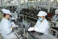 Vietnam should develop high-added value electronics sector, say experts