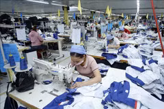Economists: More measures needed to support enterprises amid COVID-19