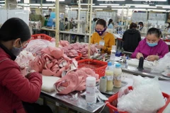 Vietnamese, US footwear firms to discuss trade amid pandemic