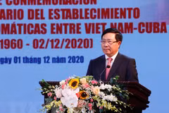 Vietnam treasures solidarity, friendship with Cuba: Deputy PM