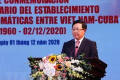 Vietnam treasures solidarity, friendship with Cuba: Deputy PM