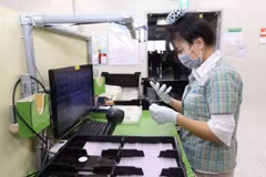 VEPR forecasts Vietnam's GDP growth at 2.6-2.8 percent in 2020