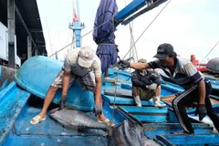 Conservation significant to fisheries resources development: official