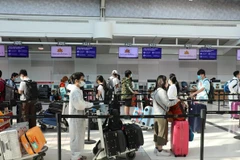 Nearly 350 Vietnamese citizens brought home safely from Australia 