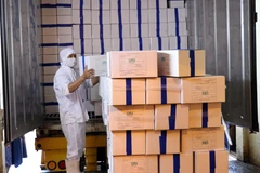 Vietnam exports first batch of shrimp to EU under EVFTA