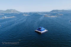 Vietnamese, Australian scientists stepping up innovation in the face of COVID-19